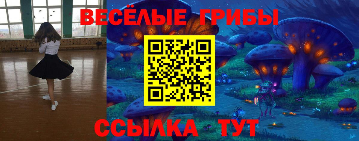 Майский  Псилоцибиновые грибы Magic Shrooms  Вход с VPN  купить наркотик  Галлюциногенные грибы прущие грибы 